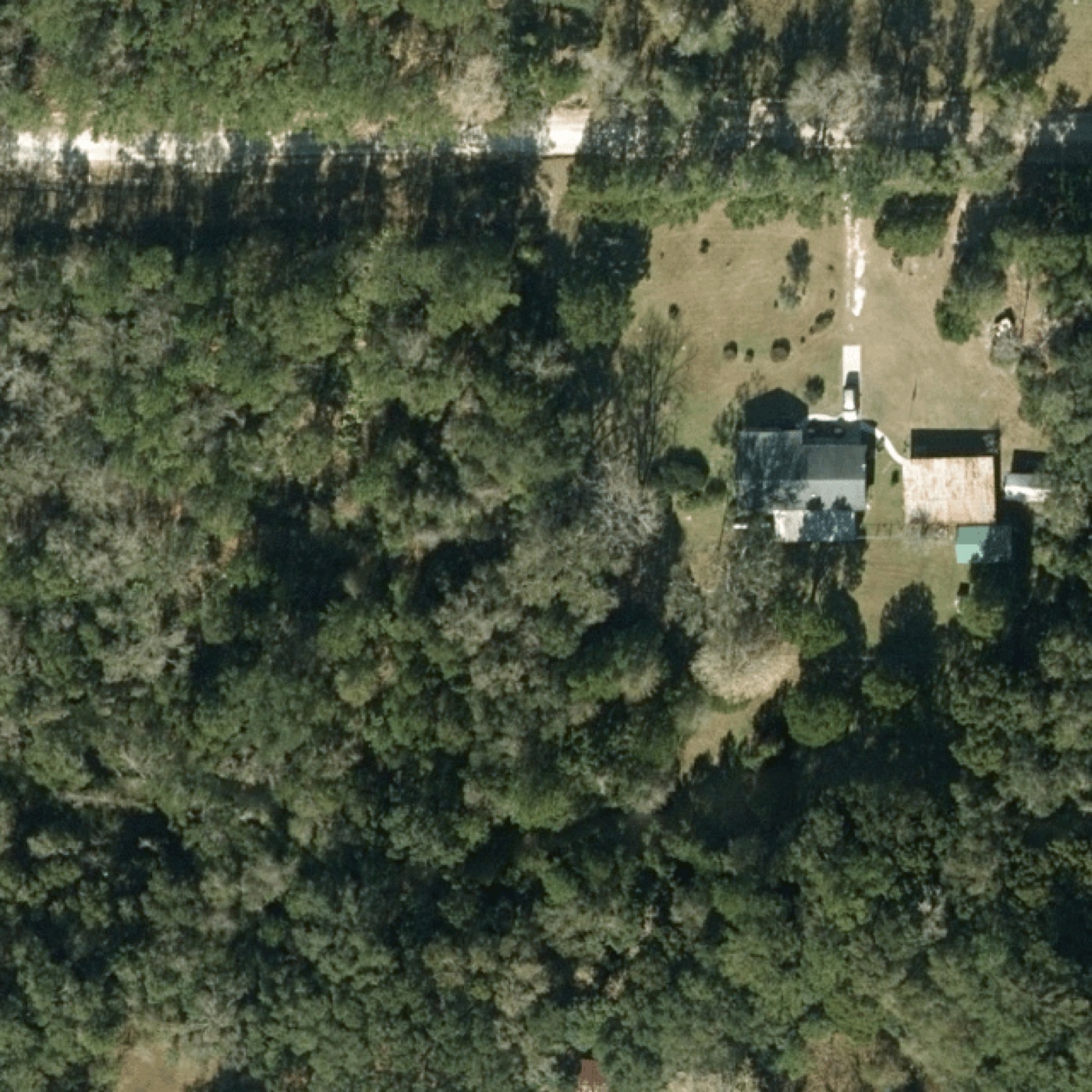 Aerial photo of a real Hawthorne, Florida backyard: open lawn behind the house, no pool